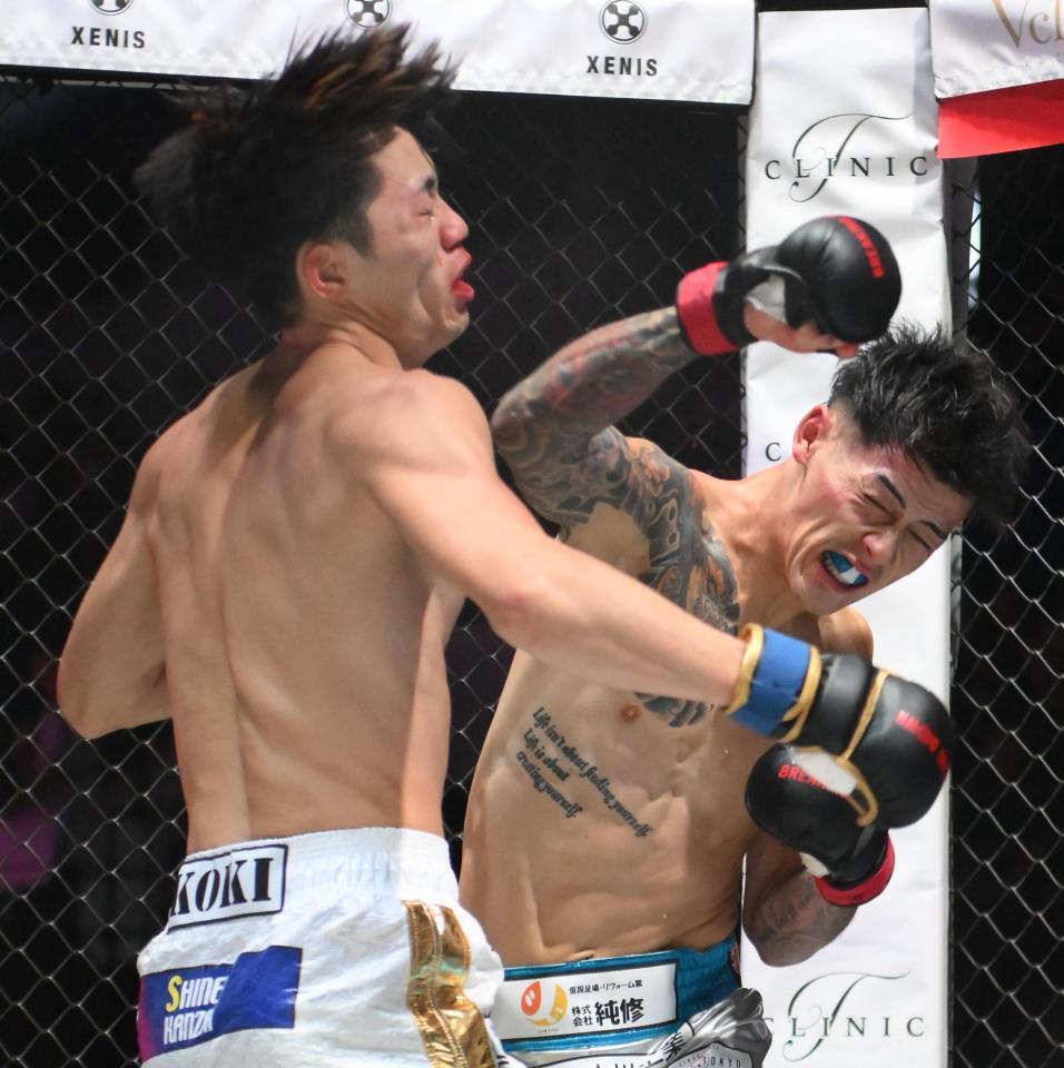 　池田晃樹（左）にパンチを出すリキ（撮影・堀内翔）