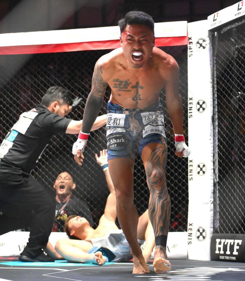 　虎之介（後方）に勝利したメカ君（撮影・堀内翔）