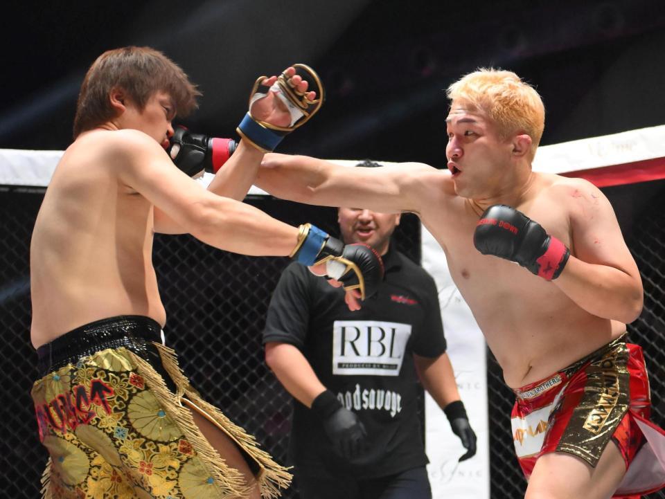 　てる（左）にパンチを出す川島悠汰（撮影・堀内翔）