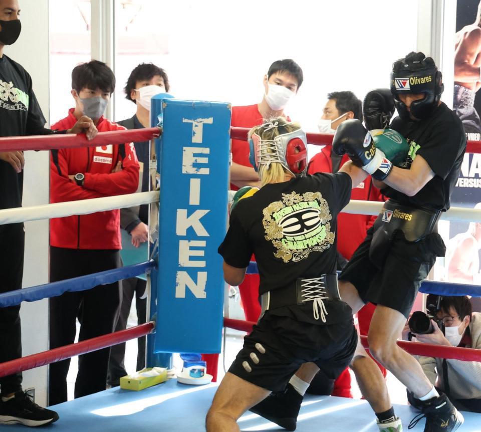 　那須川天心のスパーリングを視察する大橋ジム陣営（撮影・金田祐二）