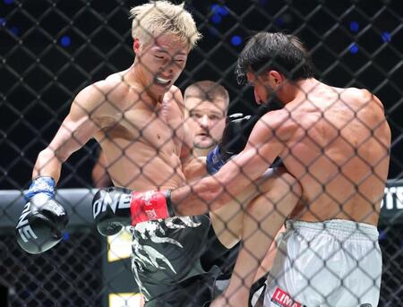 　マラット・グレゴリアン（右）を攻める安保瑠輝也（撮影・吉澤敬太）