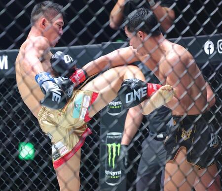 　スーパーボン（右）と打ち合う野杁正明（撮影・吉澤敬太）