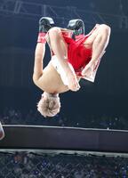 　デニス・ピューリックに勝利し、ケージの上から一回転して飛び降りる武尊（撮影・吉澤敬太）