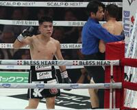 　８回、カルロス・クアドラスにＴＫＯ勝利の坪井智也（撮影・金田祐二）