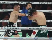 　８回、カルロス・クアドラスにＴＫＯ勝利の坪井智也（撮影・金田祐二）