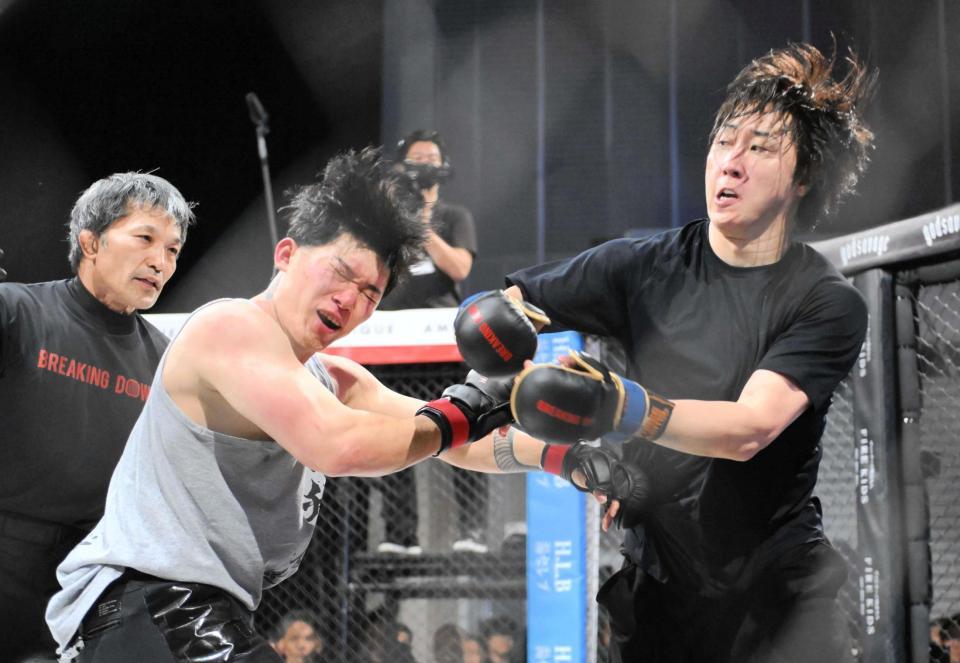 　スパーリングで戦う溝口勇児ＣＯＯ（右）と部長マッチョ（左）