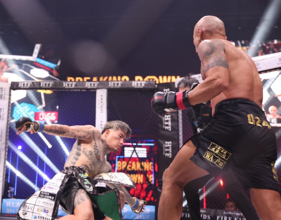 　ダウンするシェンロン（左）と見つめる内藤裕（撮影・佐々木彰尚）