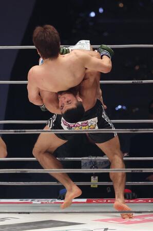 　１回、朝倉未来をマットにたたきつけるラジャブアリ・シェイドゥラエフ（撮影・金田祐二）
