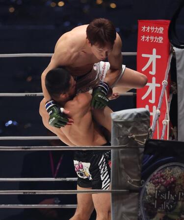 　ラジャブアリ・シェイドゥラエフのパワーに圧倒される朝倉未来（撮影・金田祐二）