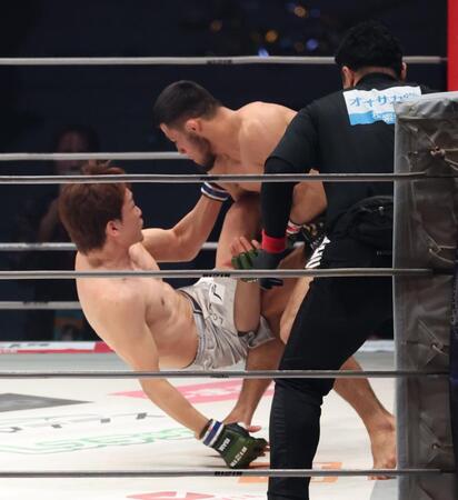 　ラジャブアリ・シェイドゥラエフに圧倒される朝倉未来（撮影・金田祐二）