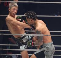 　１回、冨澤大智を攻める篠塚辰樹（右）＝撮影・金田祐二