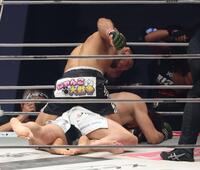 　ラジャブアリ・シェイドゥラエフに倒される朝倉未来（撮影・金田祐二）