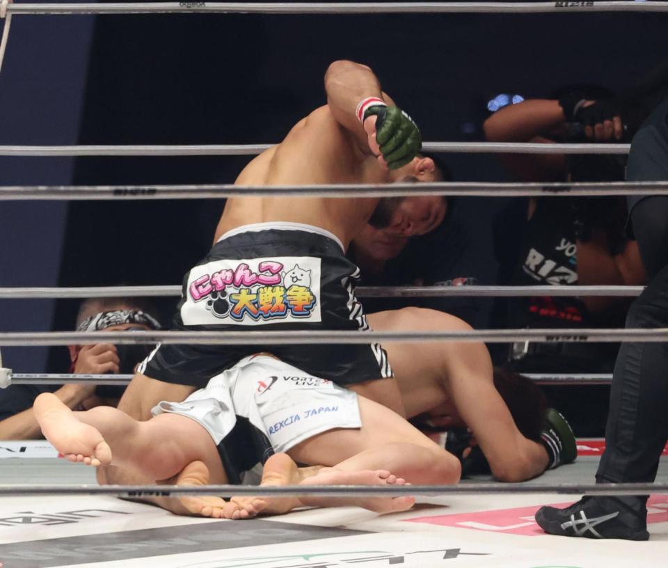 　ラジャブアリ・シェイドゥラエフに倒される朝倉未来（撮影・金田祐二）