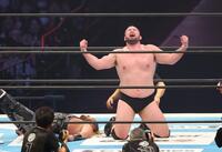 　ＥＶＩＬを破り雄たけびをあげるウルフアロン（撮影・金田祐二）