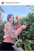 上原わかなのインスタグラム（＠ｗａｋａｎａｕｅｈａｒａ＿ｏｆｆｉｃｉａｌ）から