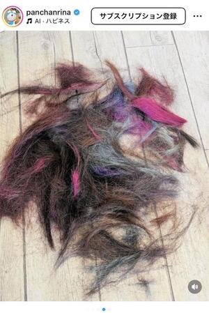 　ぱんちゃん璃奈のインスタグラム＠ｐａｎｃｈａｎｒｉｎａより