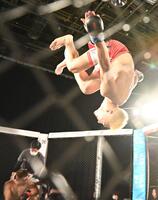 信原空を破り歓喜の太陽（撮影・持木克友）