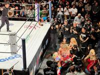 場外のＳａｒｅｅｅ＆彩羽匠に向けて、コーナー最上段からプランチャを放つフワちゃん