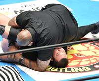 ドン・ファレ（上）に敗れたウルフ・アロン