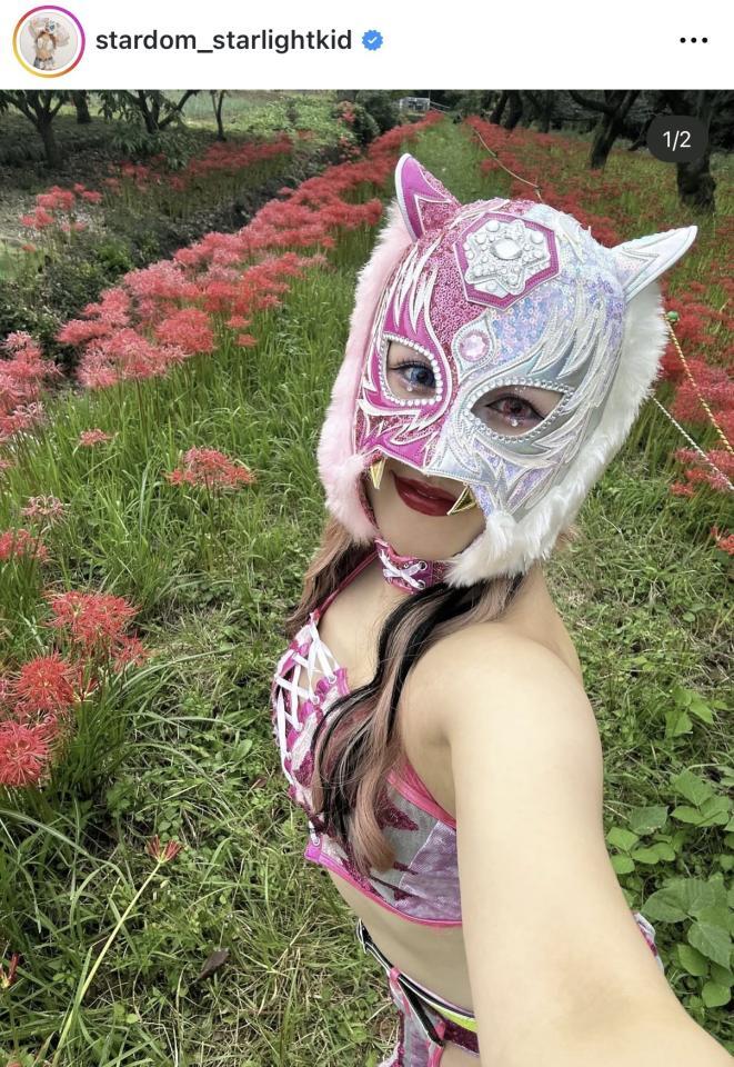 スターライト・キッドのインスタグラム（＠ｓｔａｒｄｏｍ＿ｓｔａｒｌｉｇｈｔｋｉｄ）から