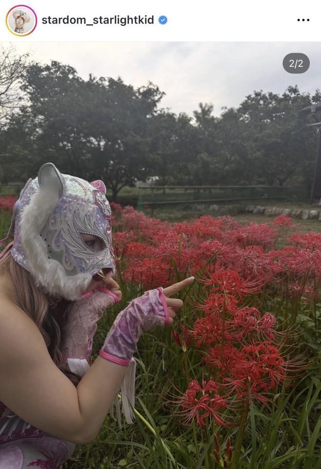 スターライト・キッドのインスタグラム（＠ｓｔａｒｄｏｍ＿ｓｔａｒｌｉｇｈｔｋｉｄ）