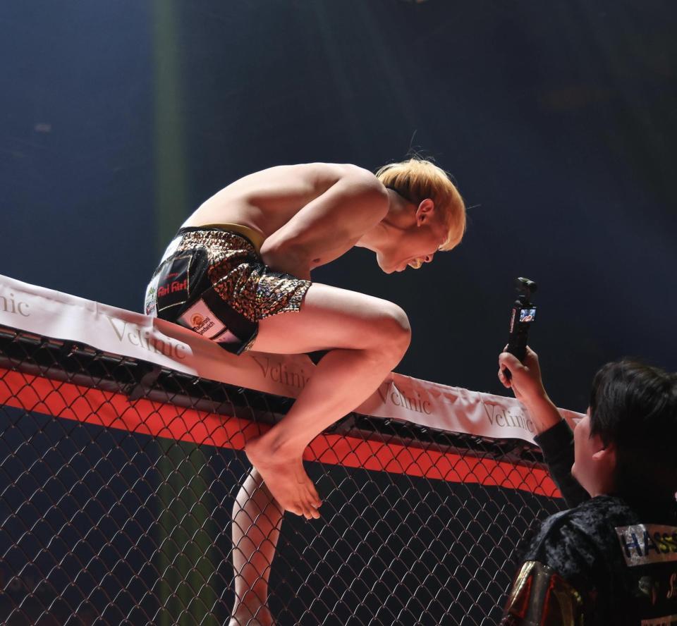 ＫＯ勝ちをおさめて叫ぶ井原良太郎（撮影・佐々木彰尚）