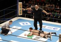 ドン・ファレに踏まれるウルフアロン