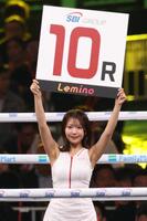 ラウンドガールを務める佐々木萌香（撮影・佐々木彰尚）