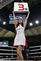 ラウンドガールを務める細川愛倫（撮影・西岡正）