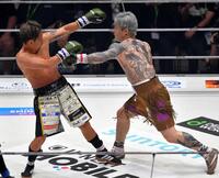武尊 まさかの80秒KO負け “ムエタイの伝説”ロッタンの強烈左フック