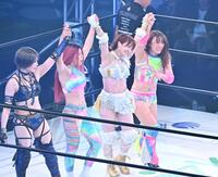 勝利したフワちゃん（右）組