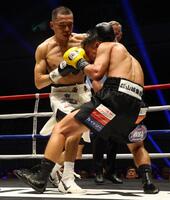 ６回、比嘉大吾を攻める増田陸（撮影・石井剣太郎）