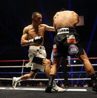 ６回、比嘉大吾（右）に左ストレートを放つ増田陸（撮影・石井剣太郎）