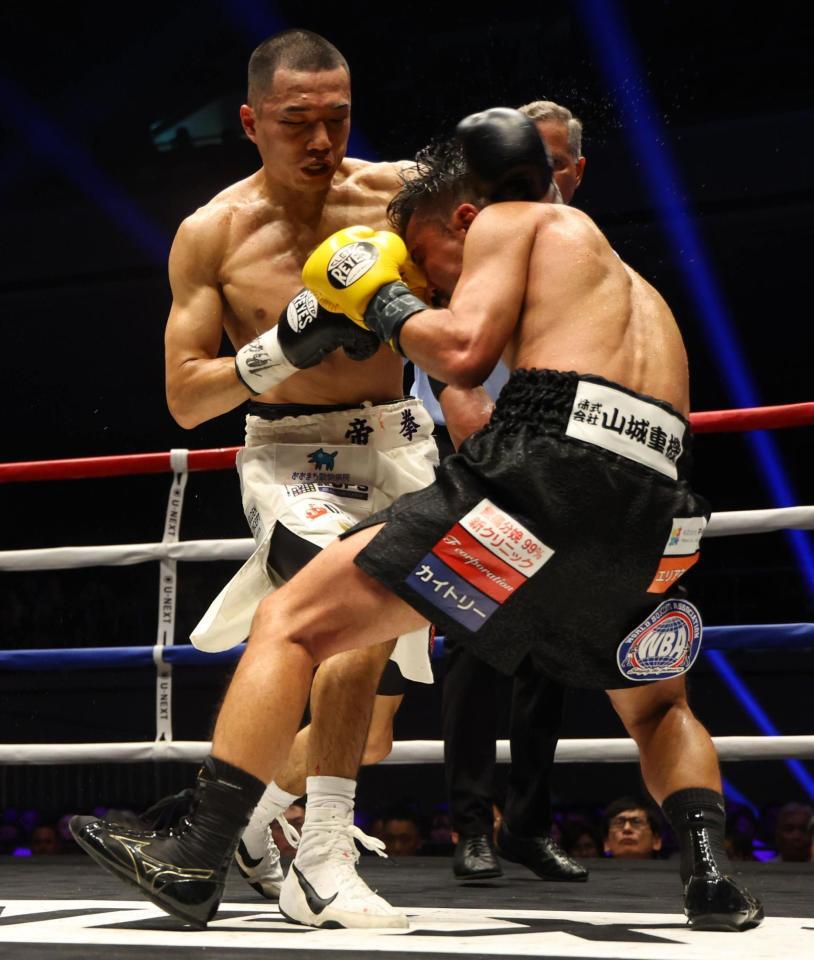 ６回、比嘉大吾を攻める増田陸（撮影・石井剣太郎）