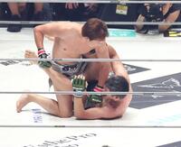 青木真也（下）を攻める朝倉未来＝京セラドーム大阪（撮影・中田匡峻）