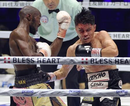 ８回、リカルド・マラジカ（左）に苦戦する坪井智也（撮影・西岡正）