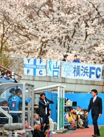 満開の桜の下、出番に備える横浜ＦＣ・三浦（中央）だったが、この日の出場機会は無かった。右は山口素弘監督（撮影・吉澤敬太）