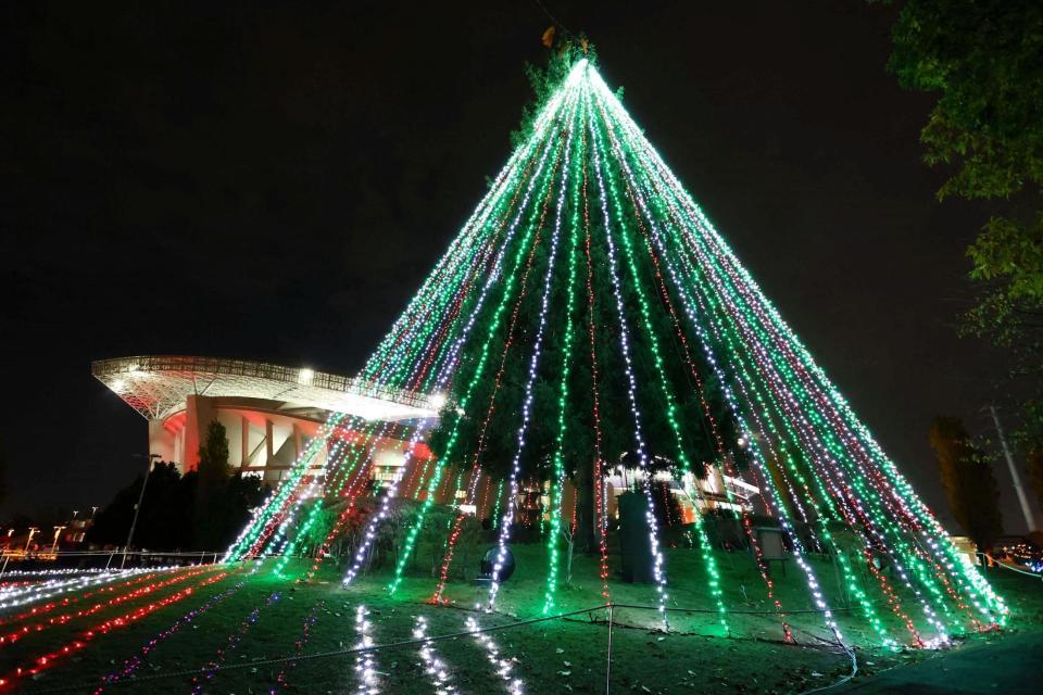 　埼玉スタジアム「もみの木広場」に点灯されたイルミネーション（Ｃ）ＵＲＡＷＡ　ＲＥＤＳ