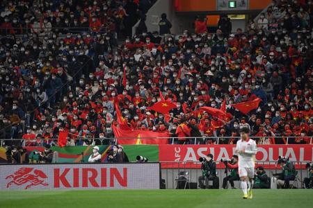 　応援するベトナムサポーター＝埼玉スタジアム（撮影・堀内翔）