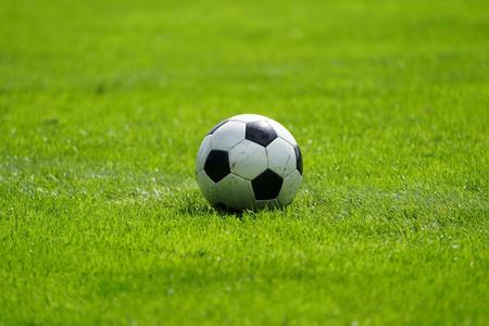 　※写真はイメージです（makieni／stock.adobe.com）