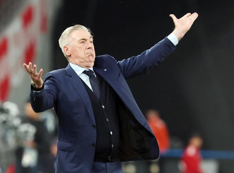 　前半、判定に抗議するブラジルのアンチェロッティ監督