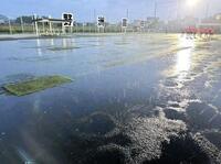 　雨が降ると水浸しになる野洲高グラウンド（野洲高提供）
