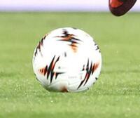 G大阪がOB播戸竜二と“1日限定契約” 9・14、ピッチでセレモニー