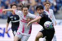 　前半、競り合うＣ大阪・阪田（左）とＧ大阪・半田