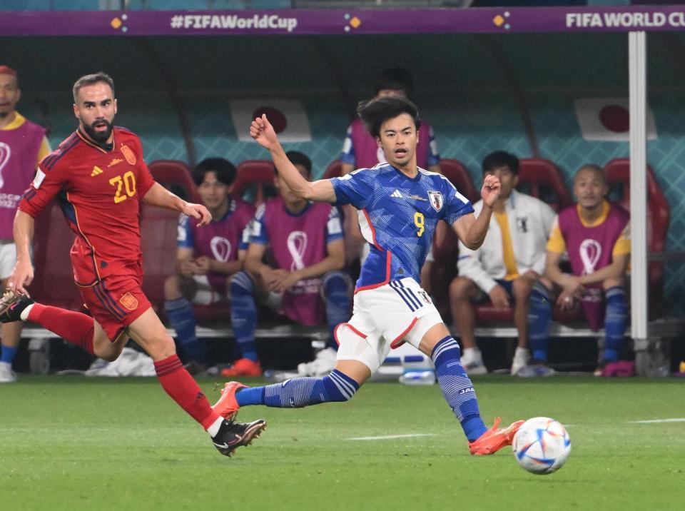 パームフォレオが明らかに