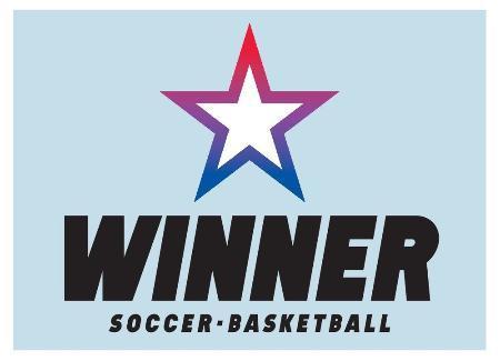 売上総額は３４億円Ｗ杯くじのＷＩＮＮＥＲ