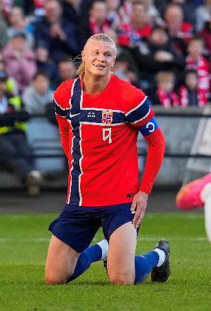 ハーランドら選出、ノルウェー/サッカーW杯/デイリースポーツ online