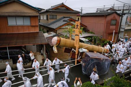 　伊勢神宮の式年遷宮に向けて行われた「御樋代木奉曳式」で、市民らによって綱で引かれ外宮に運ばれる神木＝１０日午後、三重県伊勢市
