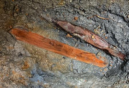 　甘樫丘遺跡群から出土した木簡（明日香村教育委員会提供）