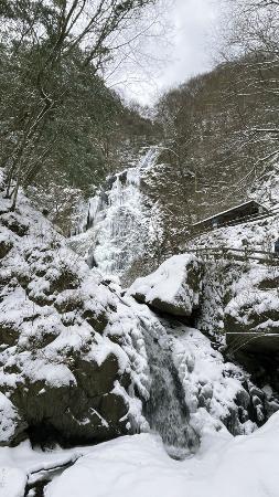 　厳冬期に凍結した愛媛県東温市の「白猪の滝」（同市提供）
